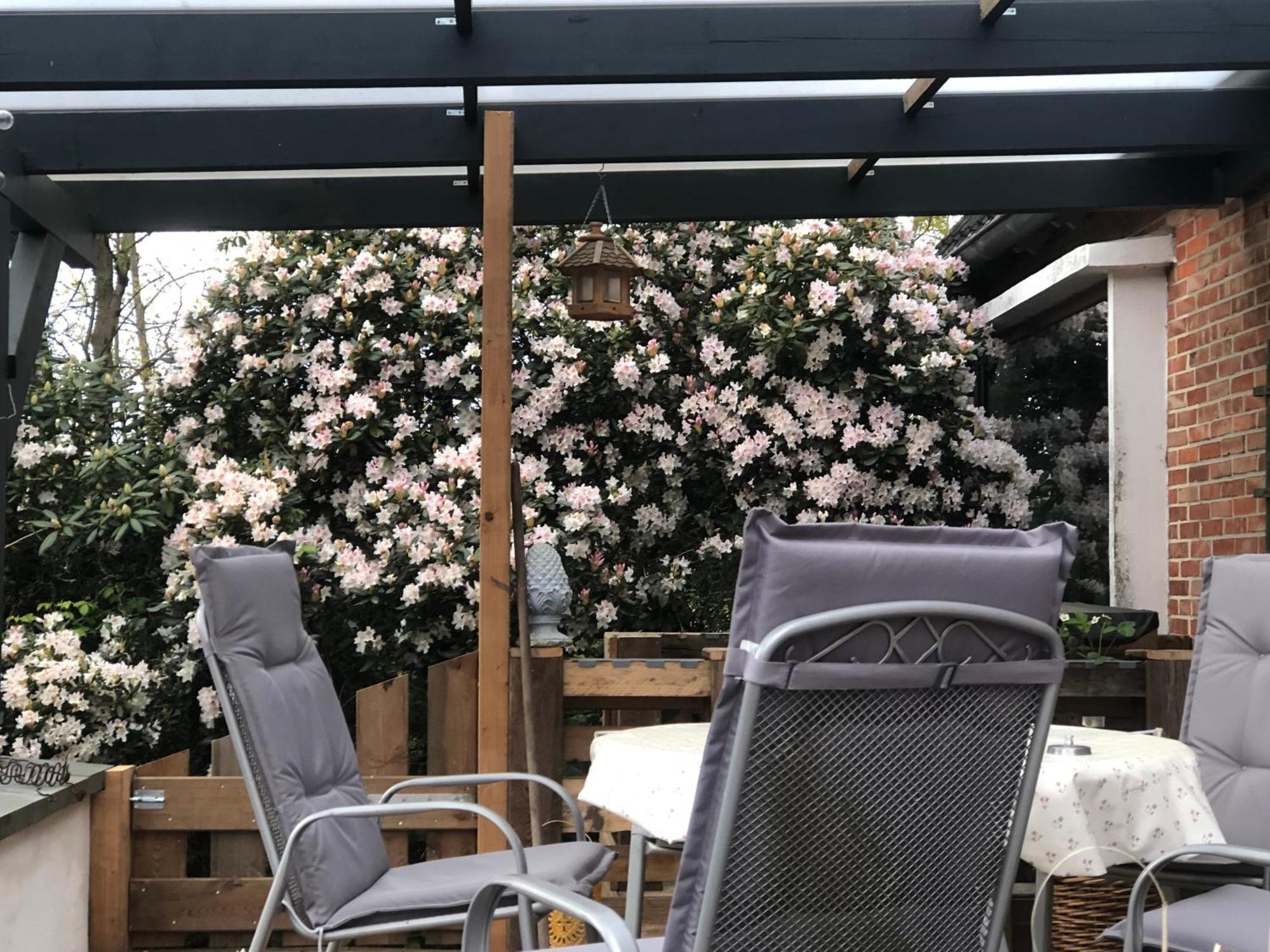 Haus Alma 1 Apartman Wardenburg Kültér fotó